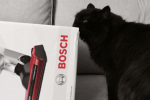 Kot z opakowaniem od odkurzacza firmy bosch