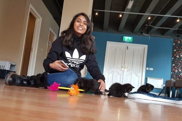 koci salon w dublinie