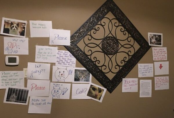 Nie chcieli pozwolić córce na kota