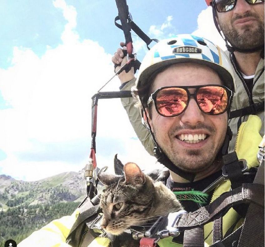 niezwykłe podróże z kotem Cathode