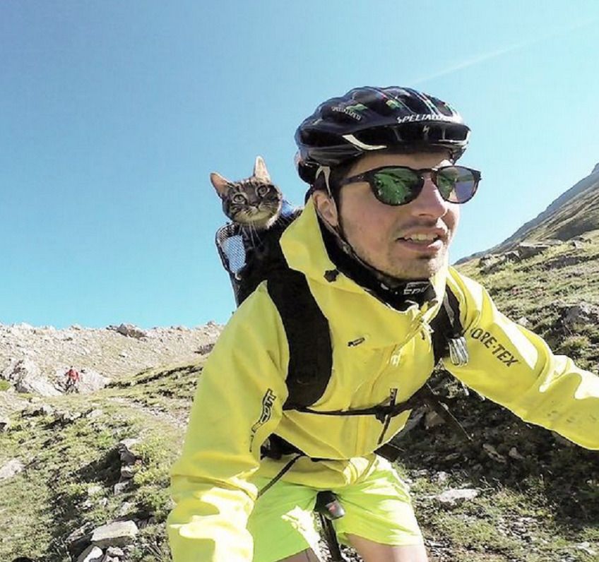 niezwykłe podróże z kotem Cathode