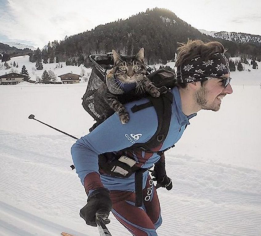 niezwykłe podróże z kotem Cathode