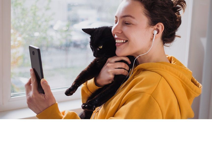 czy koty rozumieją ludzką mowę