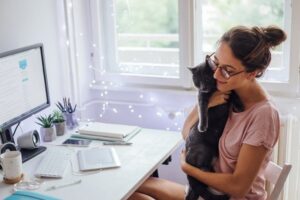 Jak przygotować kota na swój powrót do pracy? Podpowiadamy!