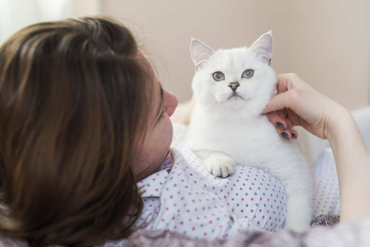 czy koty wyczuwają raka