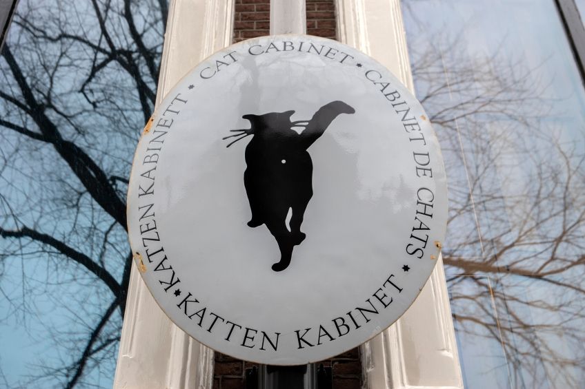 de kattenkabinet kocie muzeum w amsterdamie