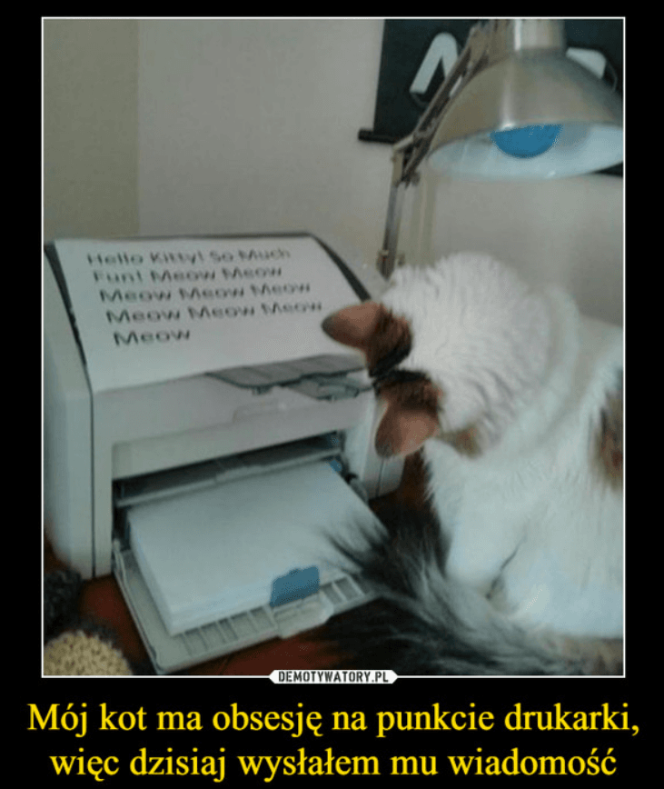 demotywatory kot i drukarka.png