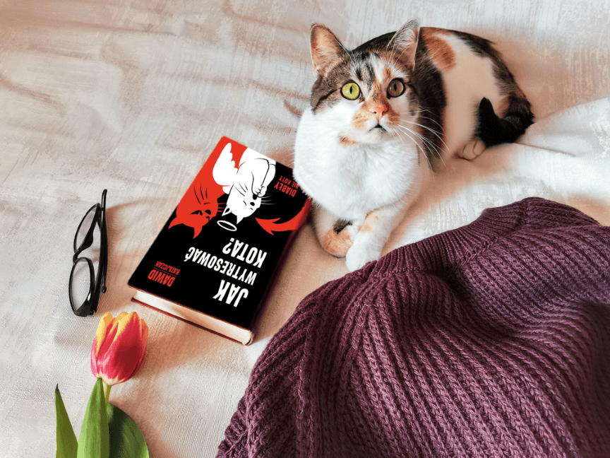 diabeł nie koty jak wytresować kota Ratajczak