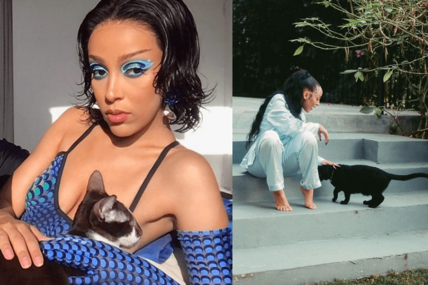 doja cat koty