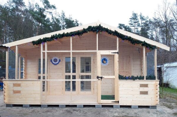 Kociarnia w Celestynowie powstała w ostatnich tygodniach wydaje się spełnieniem marzeń mruczków, szukających domu.