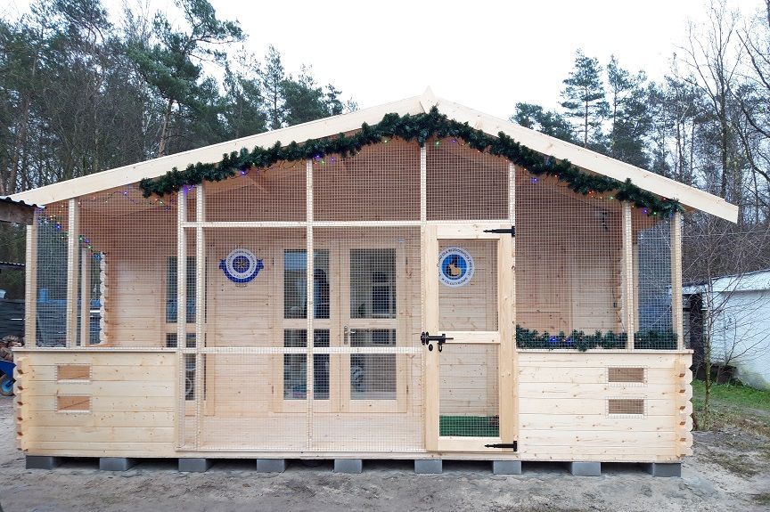 Kociarnia w Celestynowie powstała w ostatnich tygodniach wydaje się spełnieniem marzeń mruczków, szukających domu.