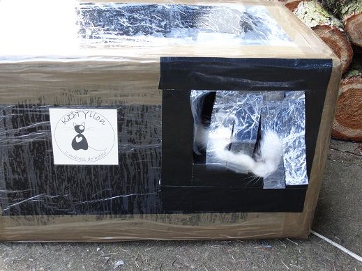 styropianowe ocieplane domki