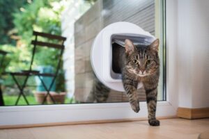 drzwiczki dla kota