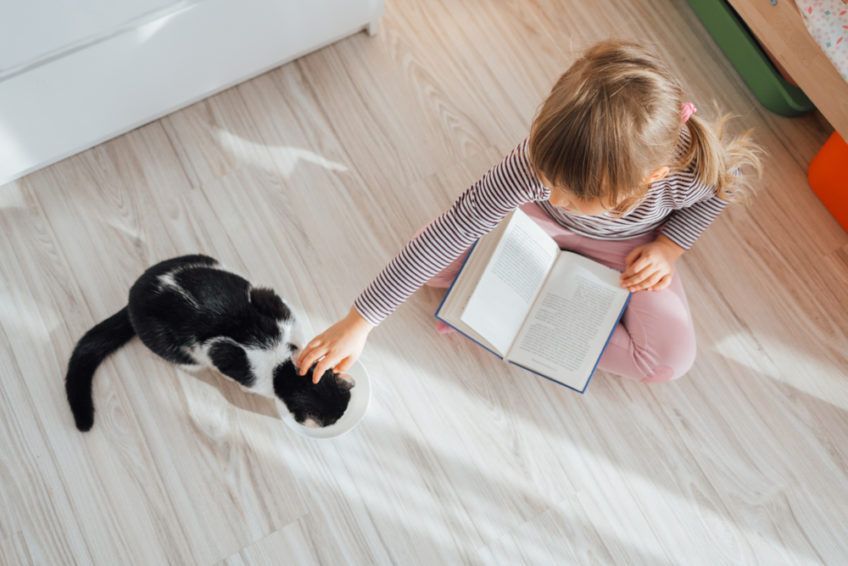 dziewczynka głaszcze kota