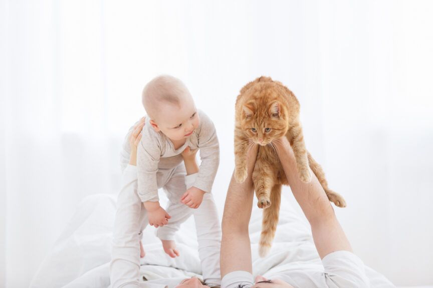 koty i psy zamiast dzieci