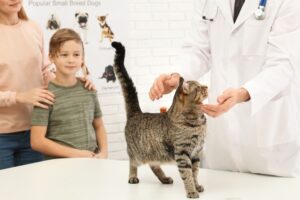 dziecko u weterynarza