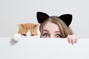 ile masz w sobie z kota