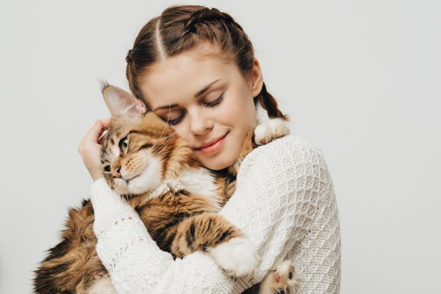 dlaczego koty nie lubią być brane na ręce