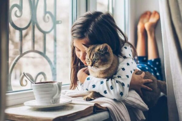 Książki o kotach to źródło wiedzy i rozrywki.