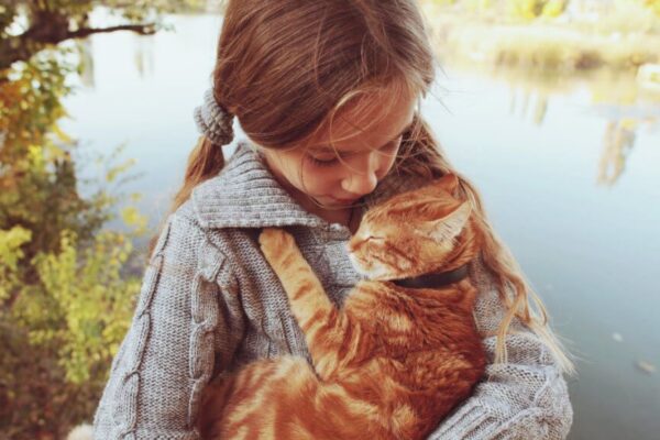 czy koty nas rozpoznają