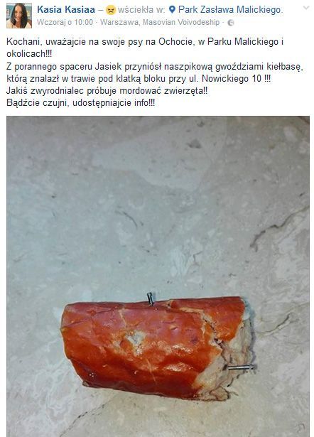 kiełbasa z gwoździami