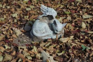 gdzie pochować zmarłego kota