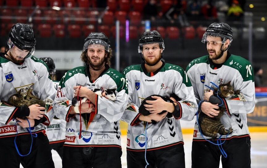 hokeiści GKS-u Tychy koty