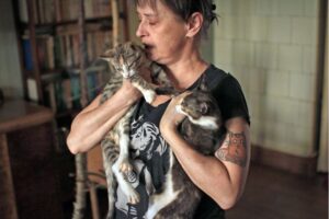 Hospicjum dla Bezdomnych Kotów