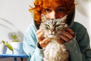 ile żyją koty domowe