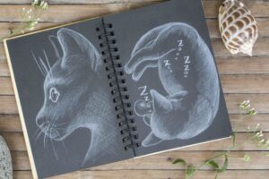 Jak narysować kota, Zeszyt z rysunkami dwóch kotów