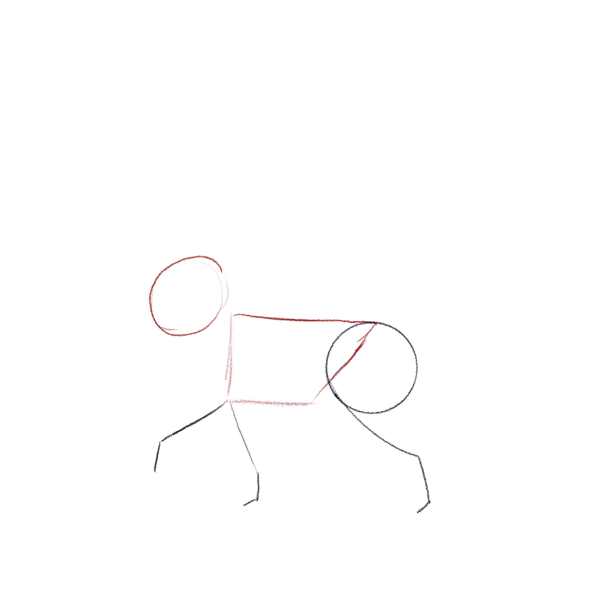 jak narysować kota - krok 2