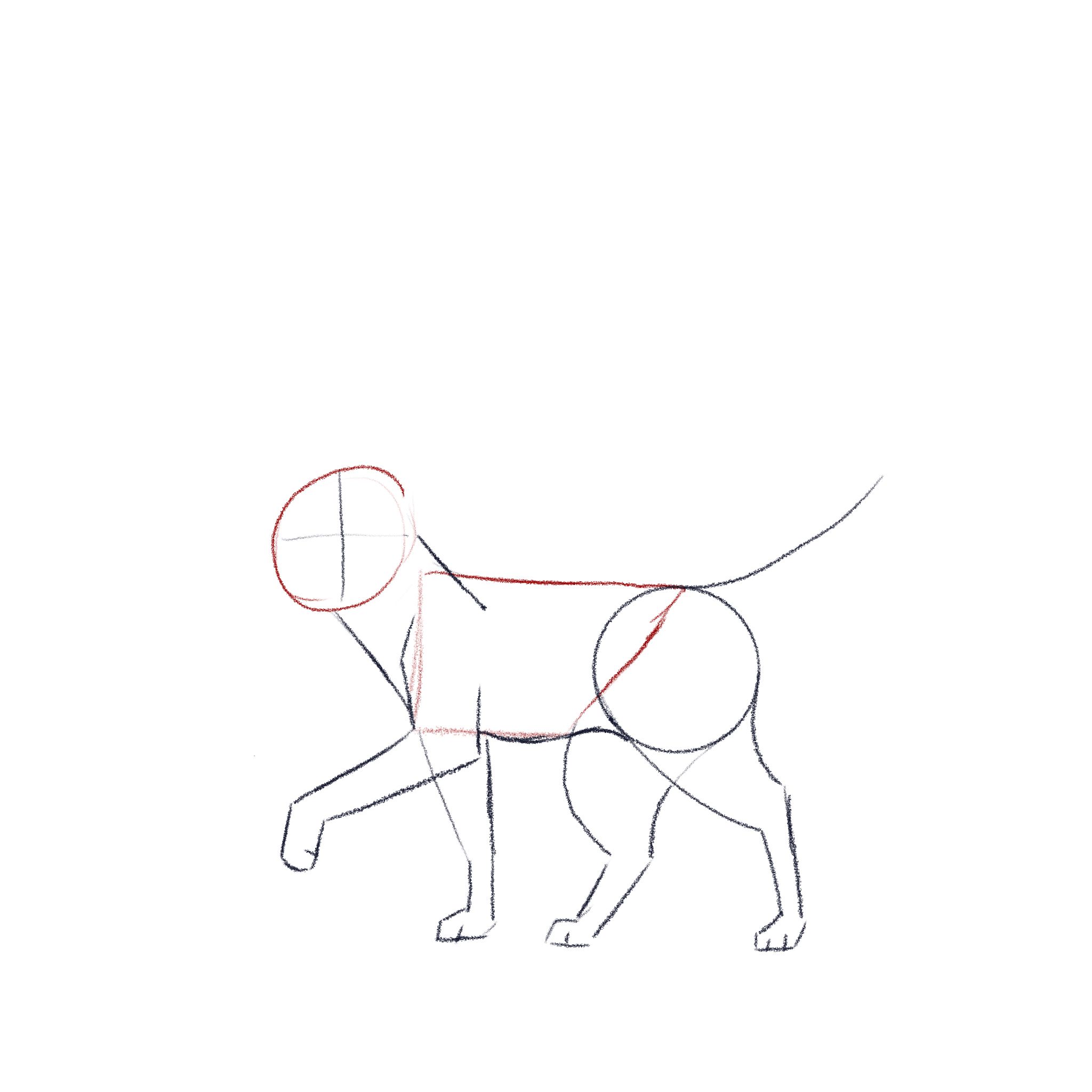 jak narysować kota - krok 4