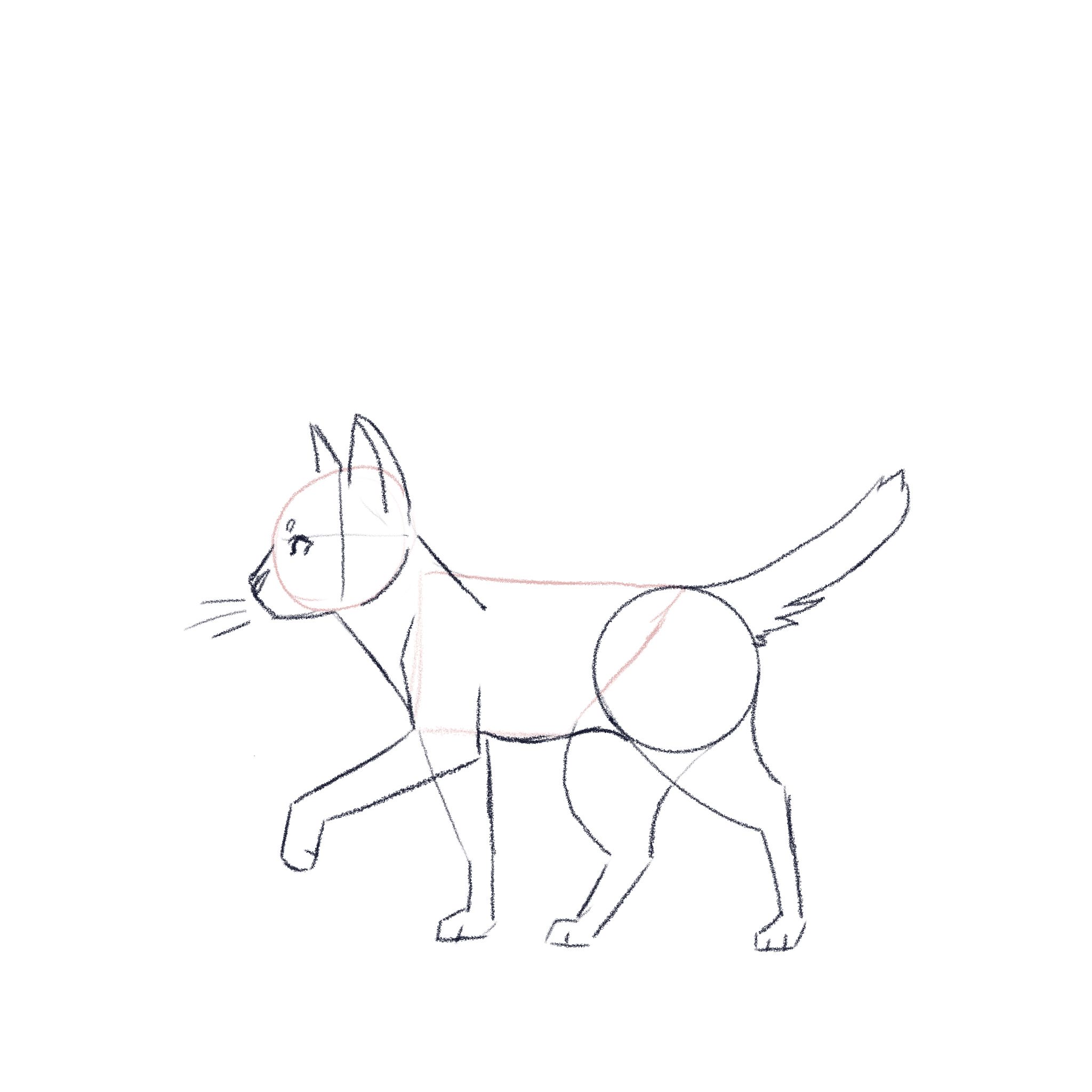 jak narysować kota - krok 5