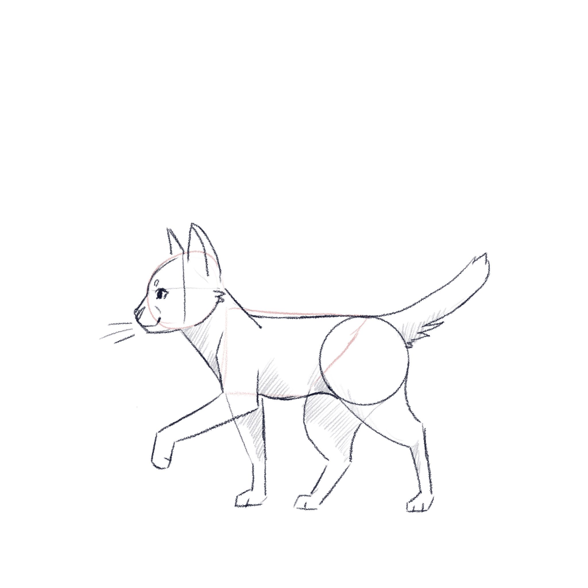 jak narysować kota - krok 6