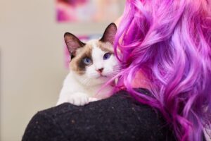 jak poprawić kotu humor