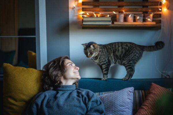 jak stać się lepszym opiekunem dla kota