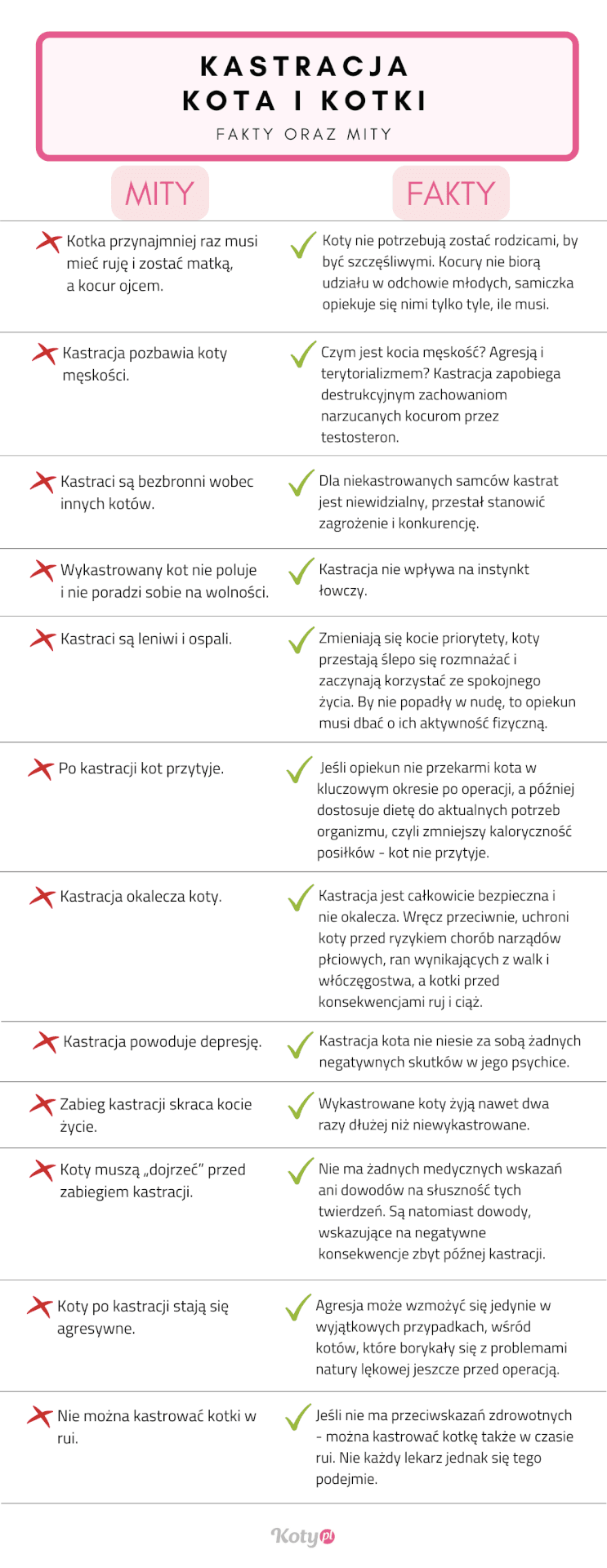 kastracja kota i kotki fakty i mity
