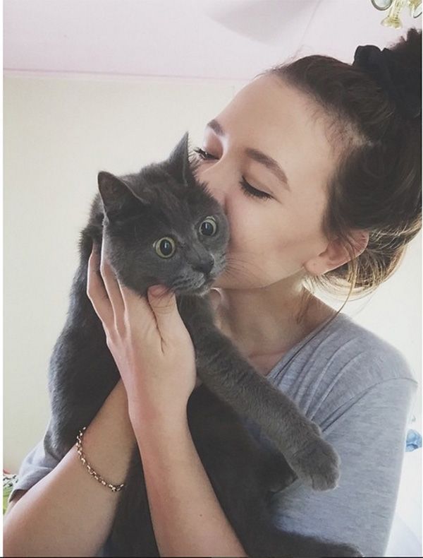 Kevin najbardziej zdziwiony kot świata