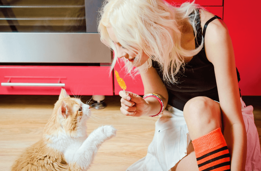 jak się bawić z kotem