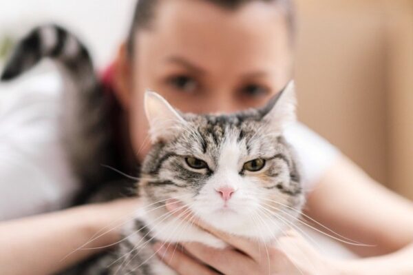 czego nie mówić kociarzowi