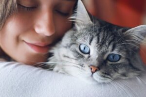 czy jesteś odpowiedzialnym opiekunem kota