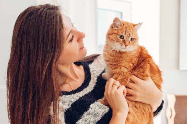 poświęcenia kociego opiekuna Kocie nawyki