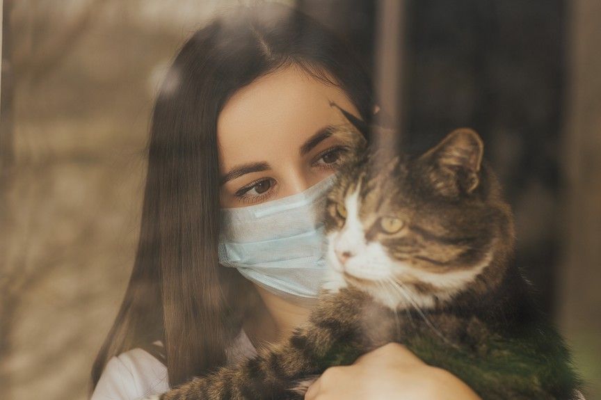 co z kotem gdy zachorujesz