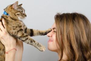 codzienność z kotem