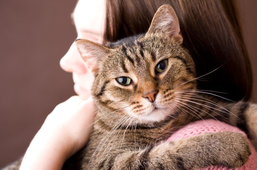 pani przytula się do kota