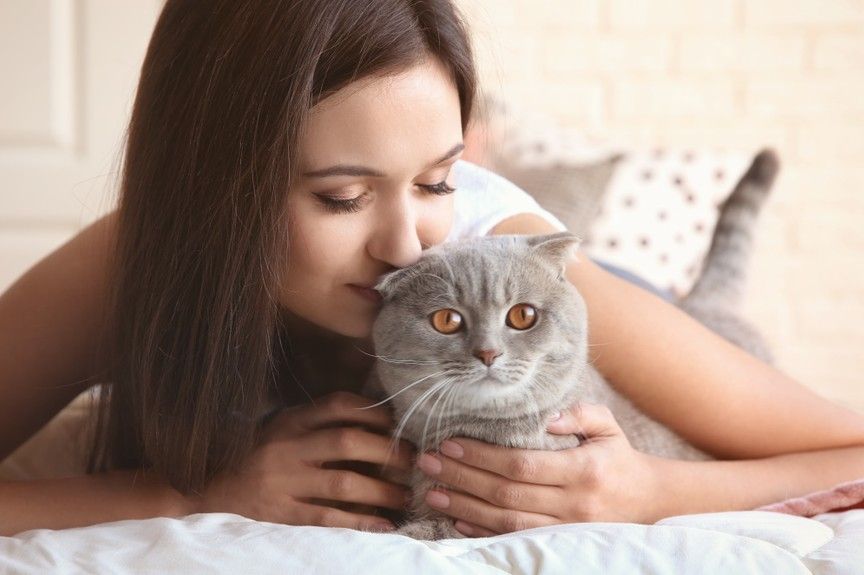 kot troszczy się o opiekuna