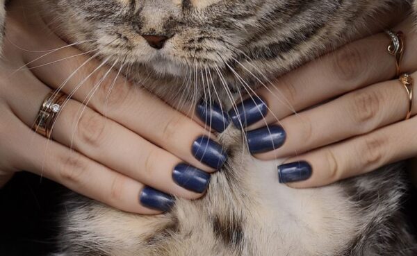 koci manicure