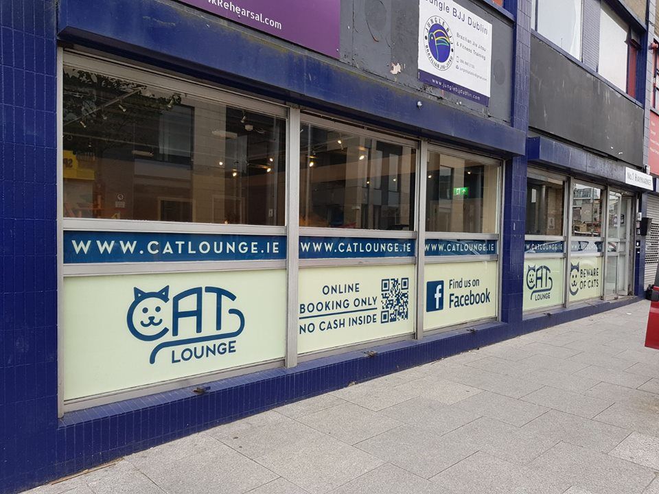 koci salon w dublinie