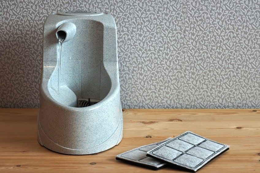 kocia fontanna na wodę-min.jpg