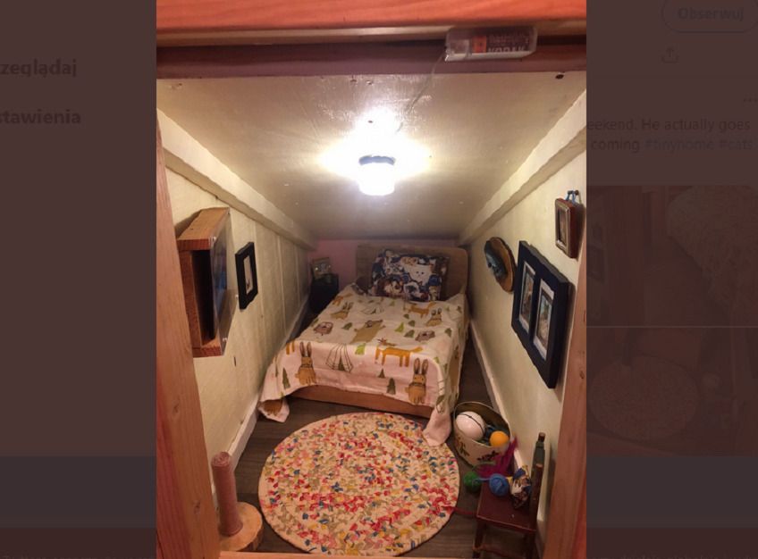 Sypialnia dla kota - czy to już przesada?